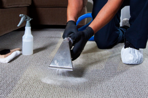 carpet shampoo Carpet Cleaning Kirribilli NSW $99