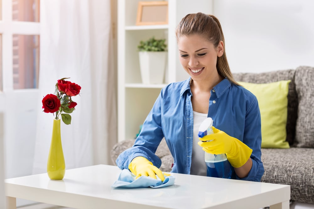 The Importance of Regular Domestic Cleaning for a Healthy Home
