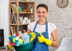 download 2 2 House Cleaning Bellevue Hill NSW $99